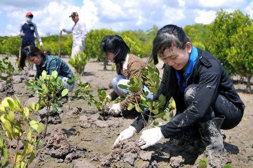 Vietnam, Germany promote cooperation in natural resources and environment - ảnh 1